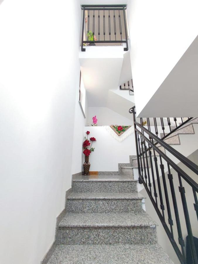 Vila Casa Hatere Moisei Extérieur photo